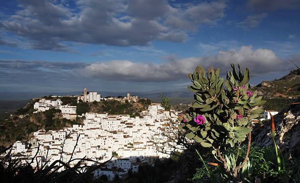 Traditional Spanish white village "Casares, a traditional Spanish white village in the hills of Southern Spain" casares photos stock pictures, royalty-free photos & images