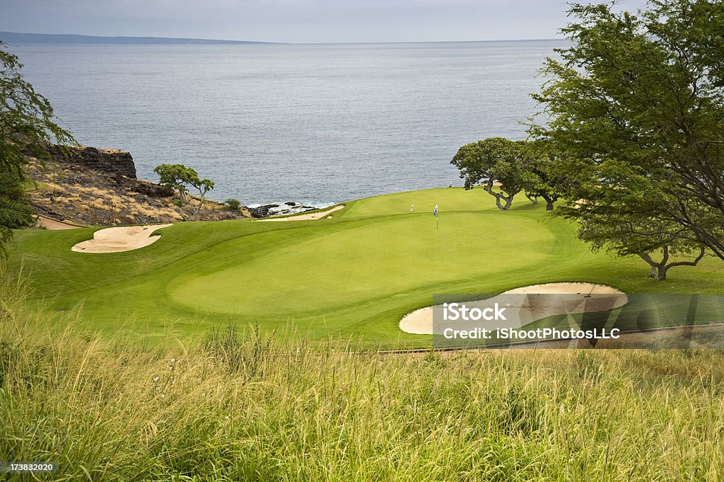 View from Above Lanai Hawaii Golf Course overlooking the Pacific Ocean ... Above Stock Photo
