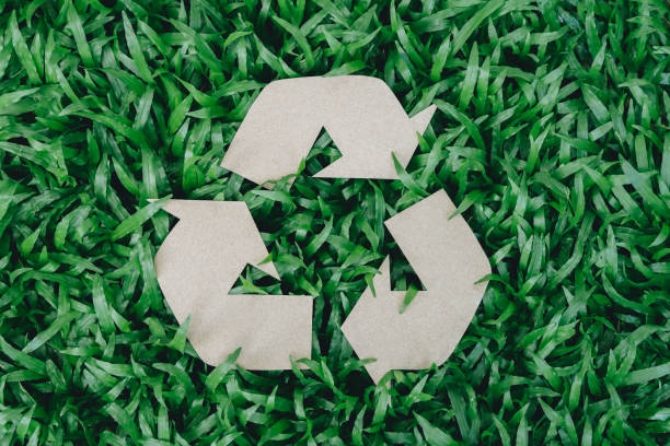 istock Recycle arrow cardboard symbol on grass for sustainability, environment and package pollution. Recycling, earth day and energy with eco friendly sign for reuse. 1738322544