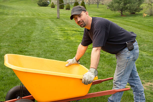istock Landscaper with Yellow Wheelbarrow 173832306