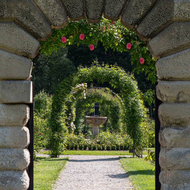 istock Garden in France 1738323090