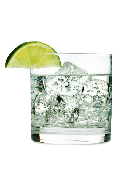 istock Gin Tonic Cocktail or Sparkling Water, in Glass with Lime 173832734