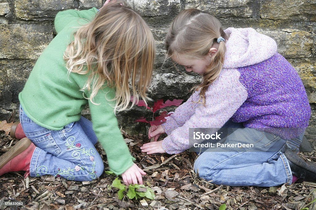 Raparigas em uma árvore Planta nova - Royalty-free Plantar Foto de stock
