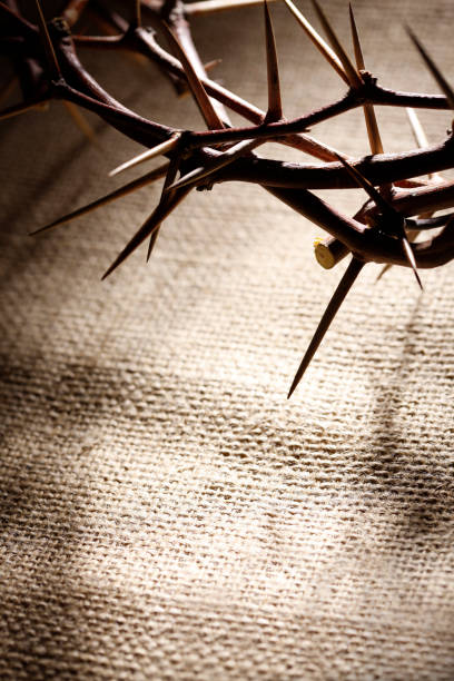 istock Crown of Thorns on a Burlap Background 173833362