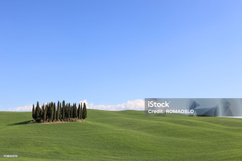 Val d'Orcia primavera campo e cypresses, Toscana, Italia - Foto stock royalty-free di Ambientazione esterna