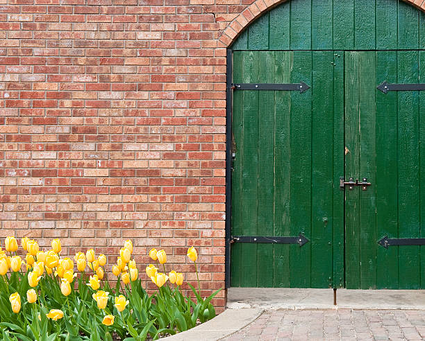 Arched garden door and brick wall with yellow tulips. Copy space.