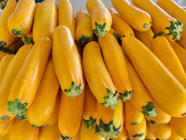 istock Freshly picked vegetables.Fresh Yellow Zucchine. 1738335517