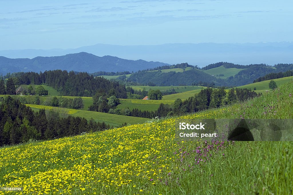 Foresta Nera valleys - Foto stock royalty-free di Foresta Nera