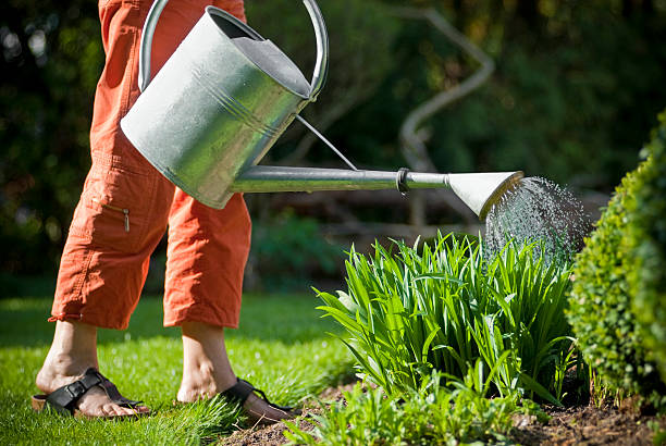 istock Watering the Garden 173833981