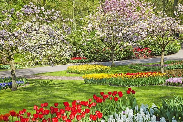 istock Flower garden # 48 XXXL 173834629