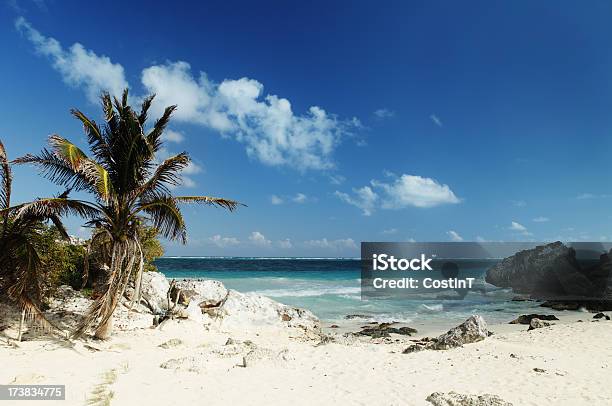 カリブ海のビーチに続く - からっぽのストックフォトや画像を多数ご用意 - からっぽ, カリブ, カリブ海