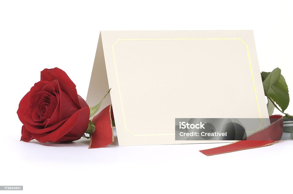 Składany puste karty z Czerwona róża - Zbiór zdjęć royalty-free (Bez ludzi)