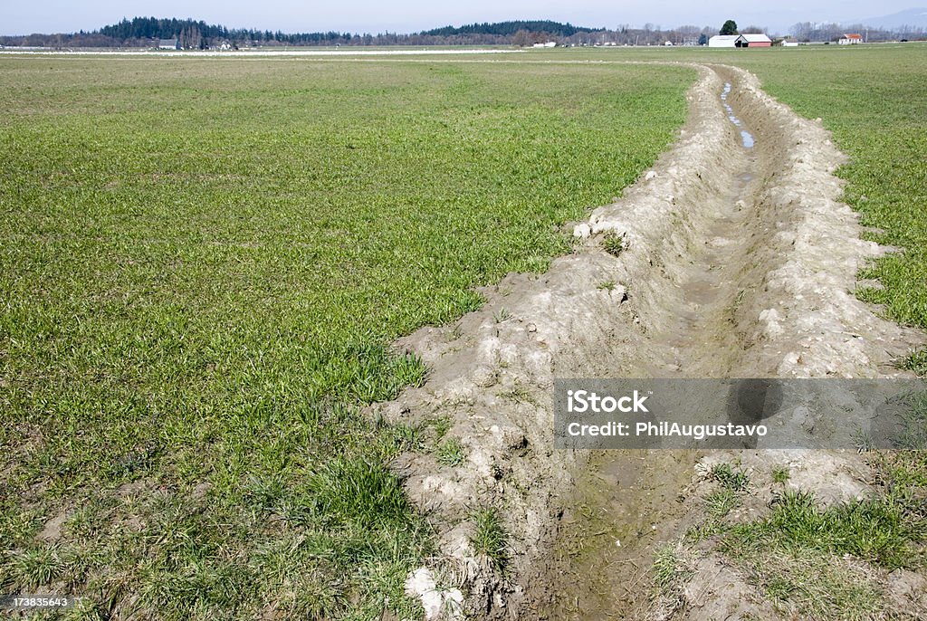 Irrigation ditch "Irrigation ditch in Skagit Valley, Washington state" Agriculture Stock Photo