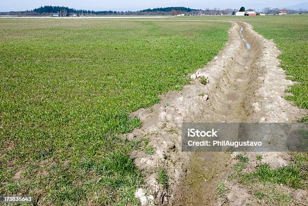 Irrigation Ditch Stock Photo - Download Image Now - Agriculture, Ditch, Washington State