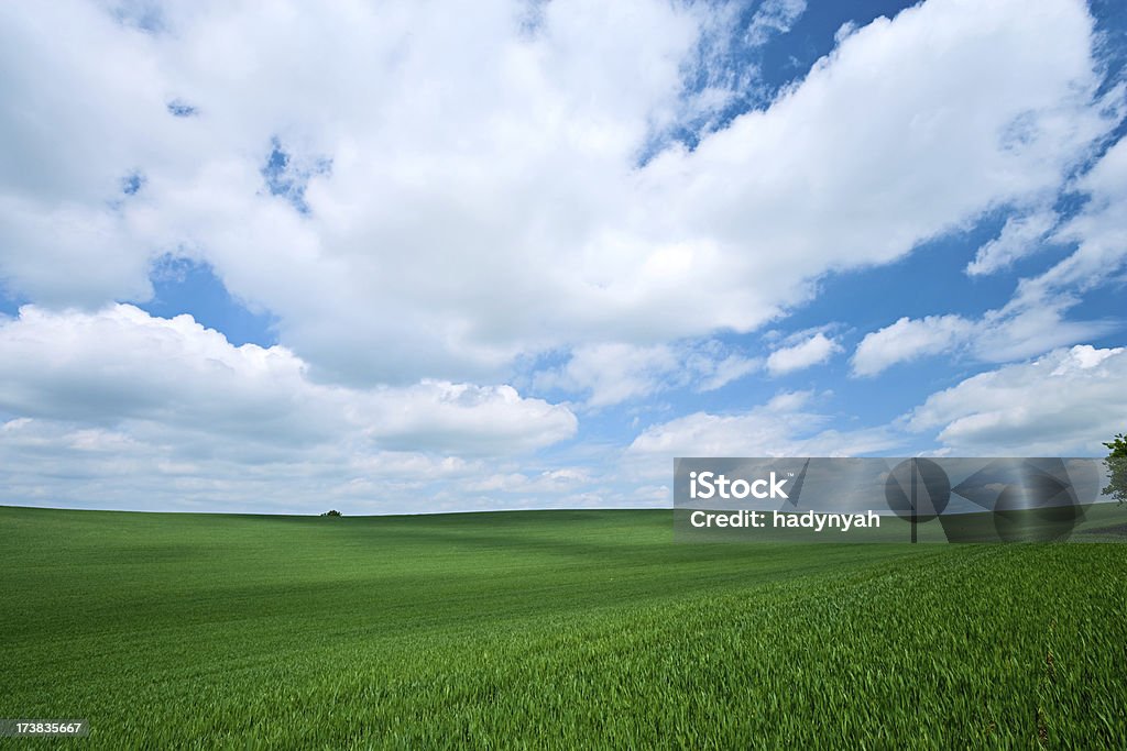 Paisaje de primavera - Foto de stock de Agricultura libre de derechos