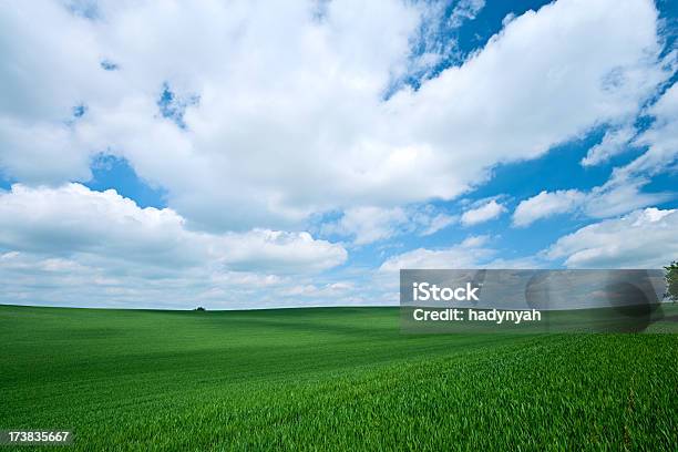 Paisaje De Primavera Foto de stock y más banco de imágenes de Agricultura - Agricultura, Aire libre, Aislado