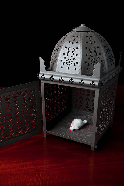 Arabic style mouse cage on red wooden coffee table with vignetting.See ‘Nic’s and Nac’s’ Light box