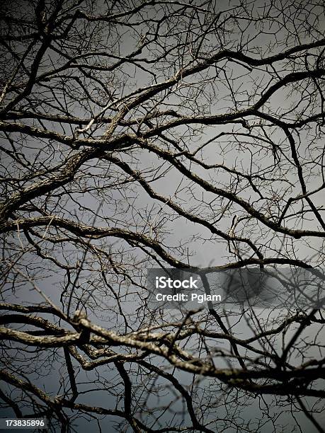 Scary Fondo De Árbol Foto de stock y más banco de imágenes de Abstracto - Abstracto, Belleza de la naturaleza, Bosque