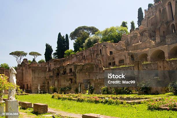 Forum Romanum - Fotografie stock e altre immagini di Albero - Albero, Antica Roma, Antico - Condizione