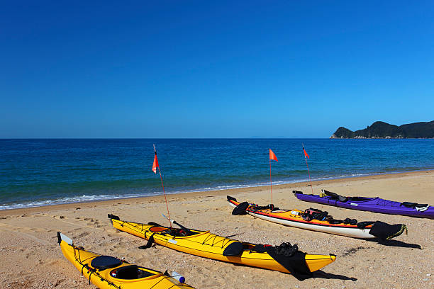 istock Four kayaks on the beach (XXXL) 173836445