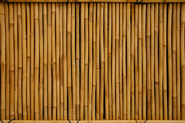 Bamboo Background stock photo