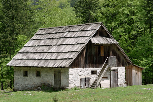 istock Traditional old house with forest behind 173837227