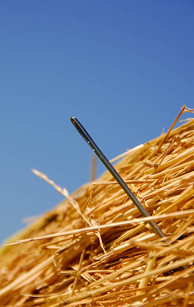 istock A close-up of a needle in a haystack 173837453