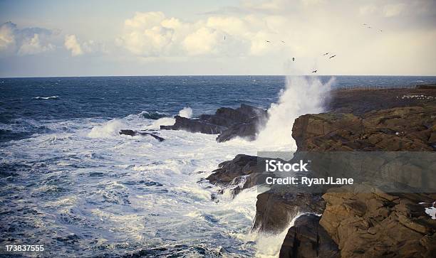 Crashing Waves At The Oregon Coast Stock Photo - Download Image Now - Beach, Beauty In Nature, Bird
