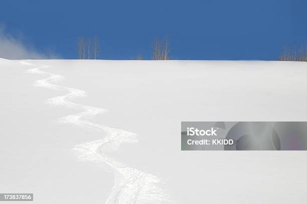 Primera La Pista Foto de stock y más banco de imágenes de Aire libre - Aire libre, Azul, Belleza