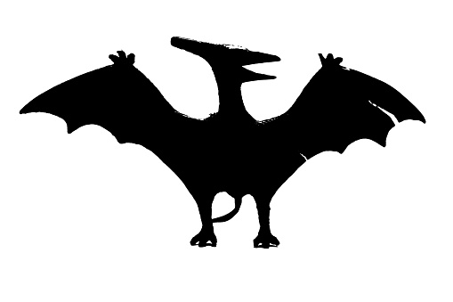 black dinosaur silhouette isolated on white background, model of pteranodon toys