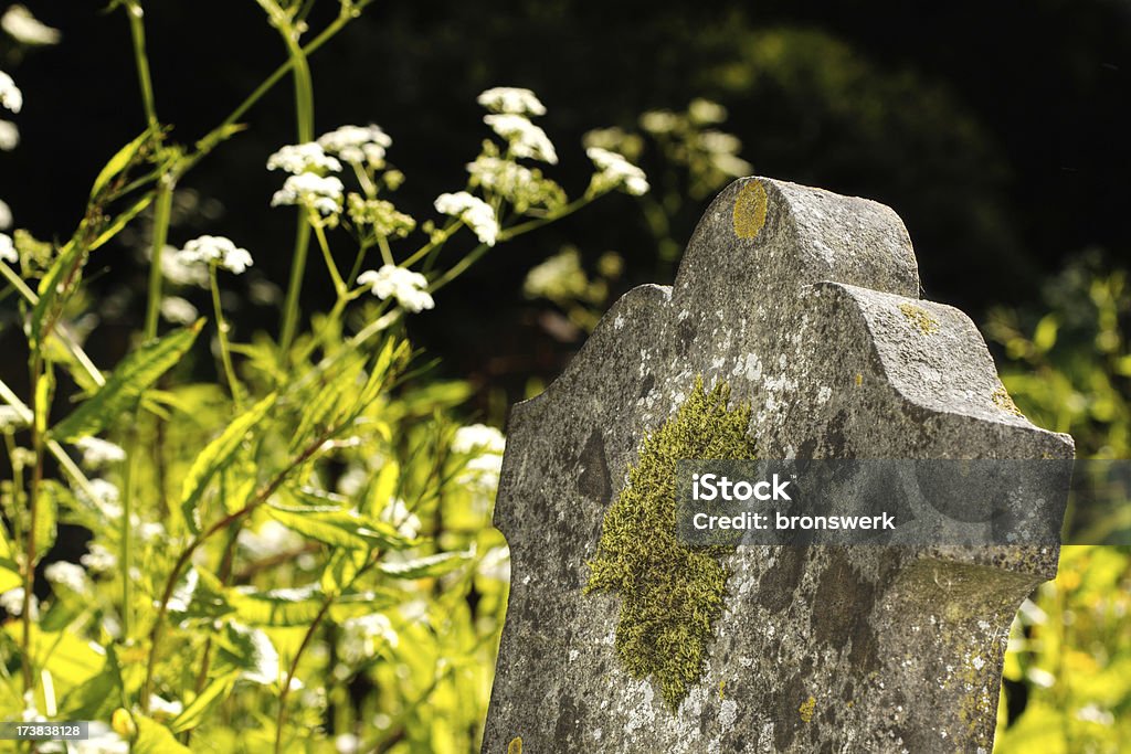 Old Tombstone Old tombstone covered with moss. Beauty In Nature Stock Photo