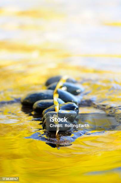 Folhas Pedras Água Reflexão Arte - Fotografias de stock e mais imagens de Alpondra - Alpondra, Arte, Arte e Artesanato - Arte visual