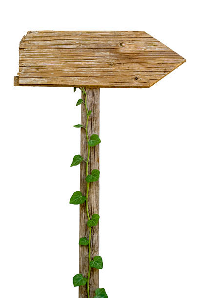 istock Old wooden sign 173838426