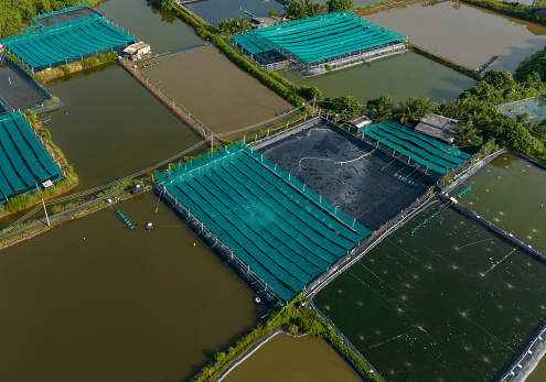 Abstract aerial image of extensive shrimp farming ponds along Tan Thanh beach, Tien Giang province