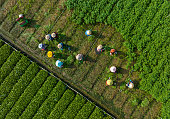 Abstract aerial photo of farmers harvesting vegetables, Tien Giang province