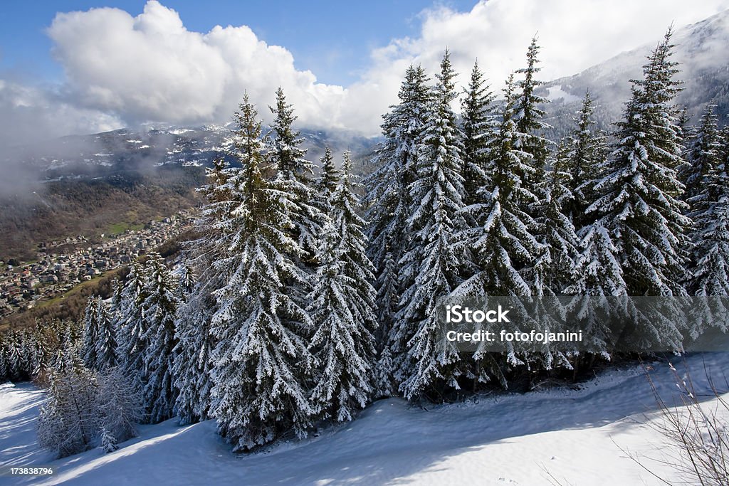 Winter forest VISTA PANORÁMICA - Foto de stock de Lombardía libre de derechos