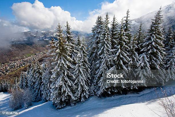Winter Forest Vista Panorámica Foto de stock y más banco de imágenes de Lombardía - Lombardía, Abeto, Abeto Picea