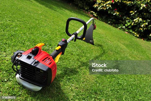 Domestic Garden Strimmer Differential Focus Sharpness On Trigger Stock Photo - Download Image Now