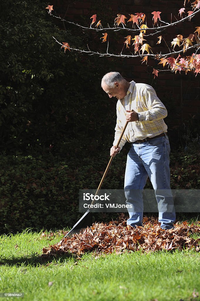 Hombre jardinería en otoño - Foto de stock de 60-69 años libre de derechos
