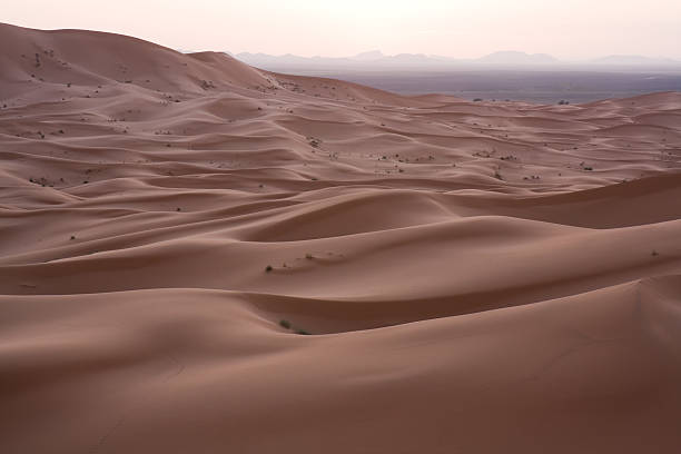 De Sahara atardecer - foto de stock