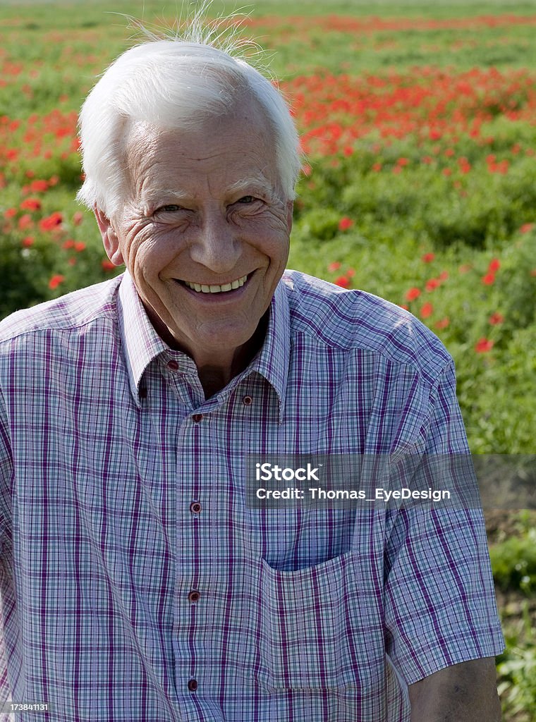 Senior hombre en campo - Foto de stock de 80-89 años libre de derechos