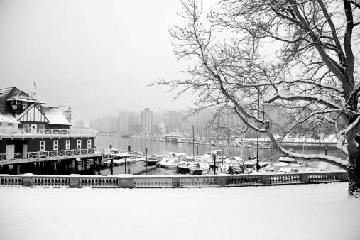 Black and white Stanley Park in the winter,the background is Downtown Vancouver,Vancouver,BC,Canada.