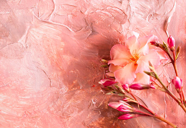 Background in flesh tones with oleander bloom