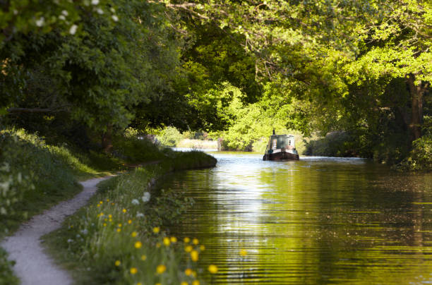 Canal barge moves through green summer dappled shade stock photo