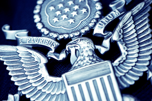 detail of an american government pin. E Pluribus Unum. 