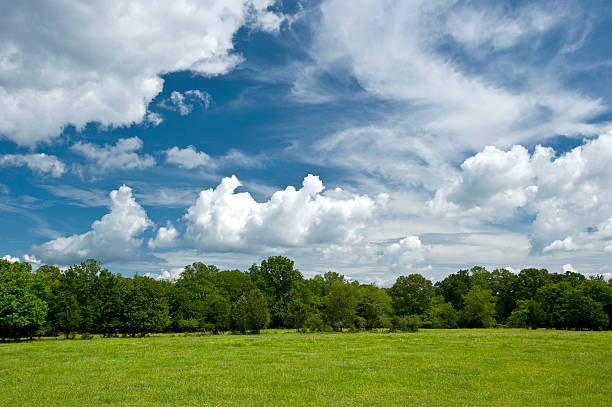 Bright country sky in spring "Looking out over a southern Oklahoma farm, green grass leads up to a small tree line, with deep blue sky and cumulus clouds overhead. Shot at F18 with a circular polarizer." treelined stock pictures, royalty-free photos & images