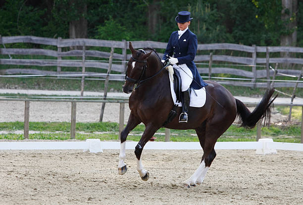 istock Pirouette on a dressage competition 173842048