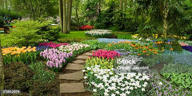 Flores De Primavera En El Parque Foto de stock y más banco de imágenes de Tulipán - Tulipán, Flor, Camino