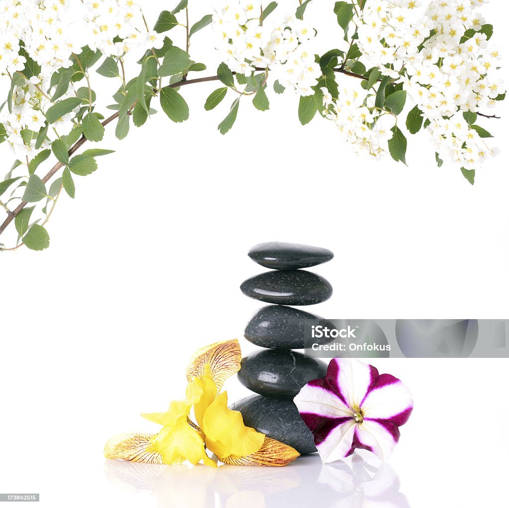 Kwiaty i Lava kamieni na białym tle - Zbiór zdjęć royalty-free (Aranżacja)