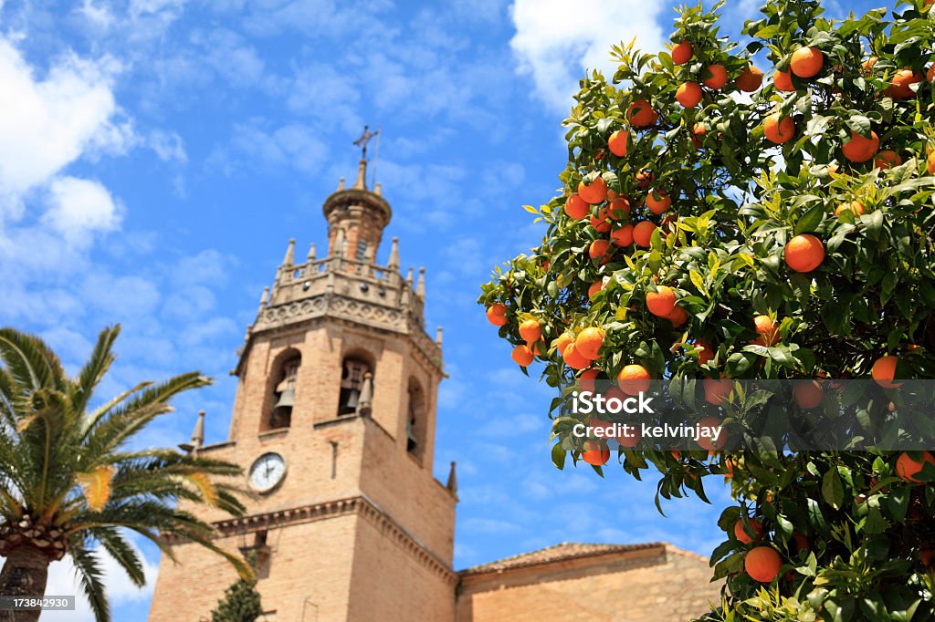 Апельсиновое дерево в Ronda, Andalucia, Испания - Стоковые фото Андалусия роялти-фри